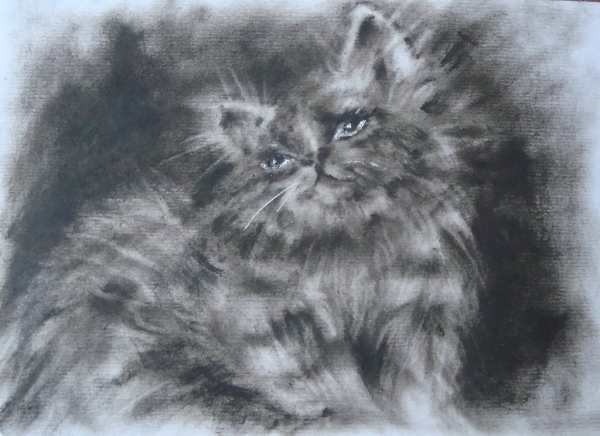 Сухая кисть техника рисования