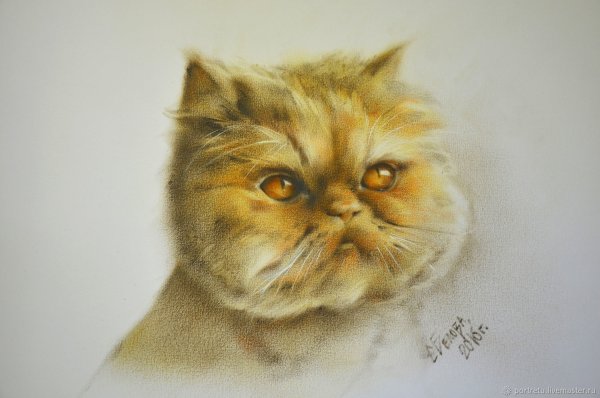 Сухая кисть животные