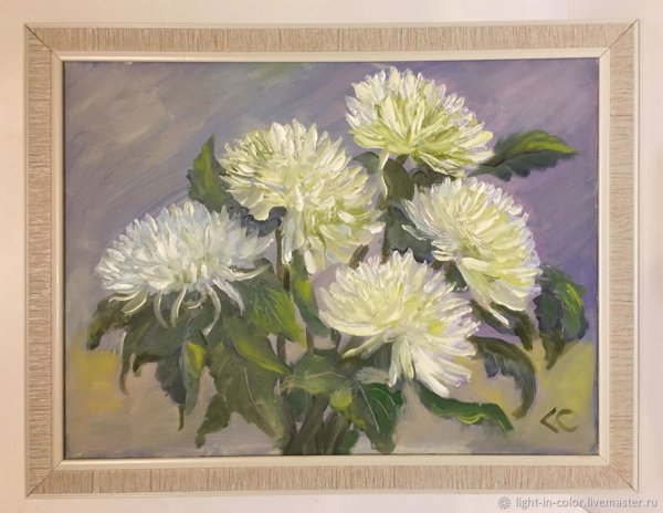 Буйко хризантемы