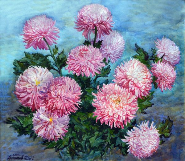 Астры пионовидные