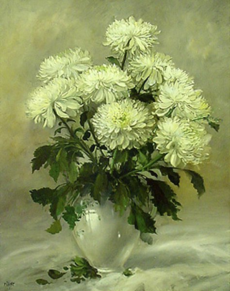 Андрияки белые хризантемы