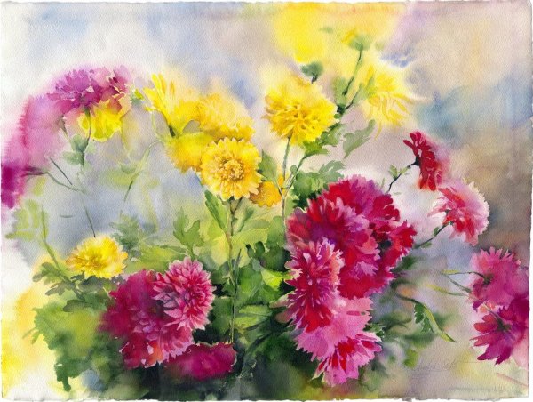 Хризантемы акварелью