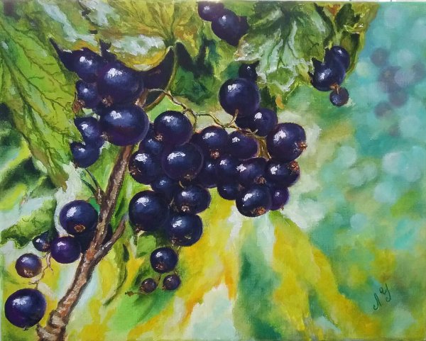 Смородина Бальсгард Мартин