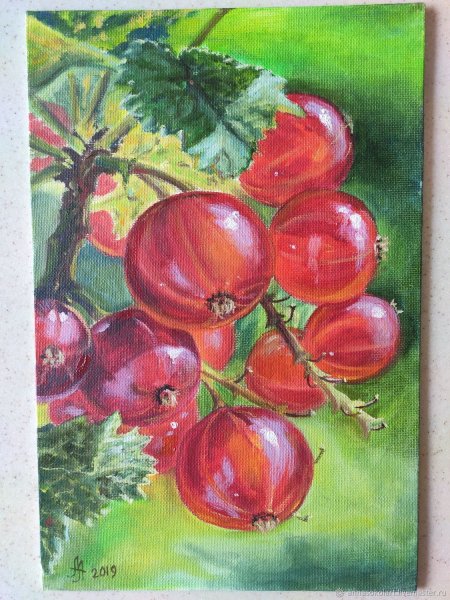 Толстой ветка смородины