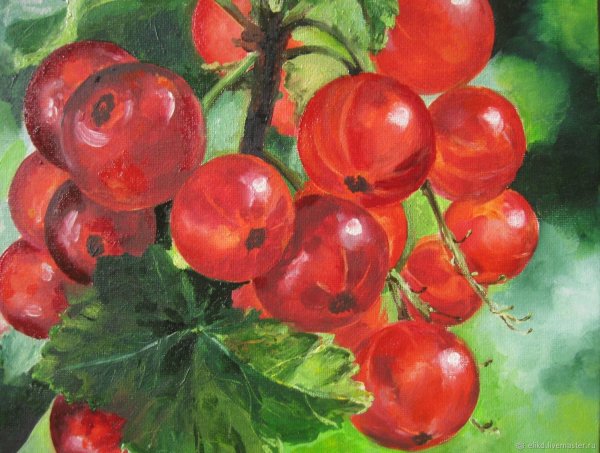 Смородина рисунок