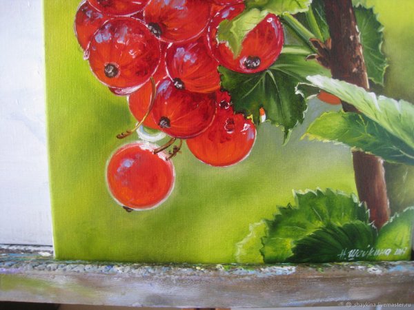 Шайкина Наталия красная смородина