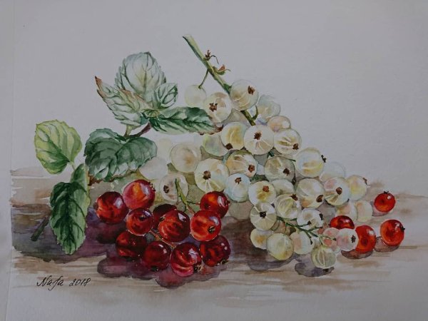 Черная смородина в живописи