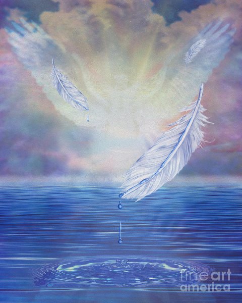 Перья ангелов