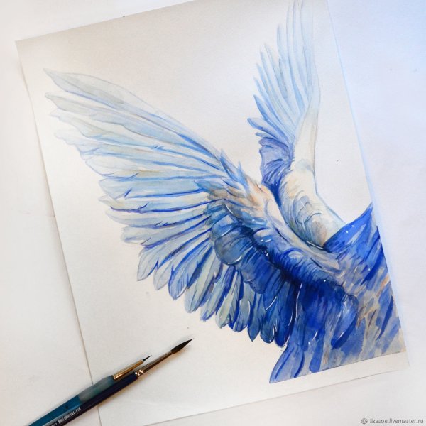 Крылья ангела акварелью