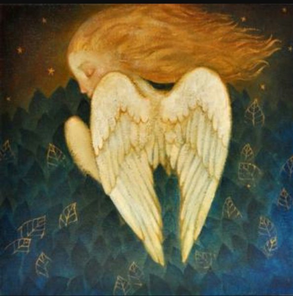 Люси Кэмпбелл иллюстрации