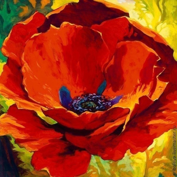 Маки живопись маслом