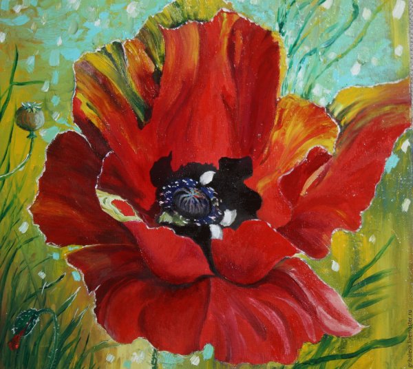 Маки Берт Mackie Burt