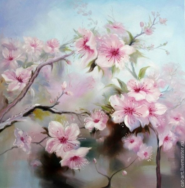 Ветка Сакуры живопись