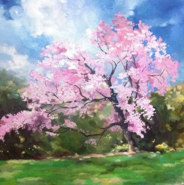 Сакура маслом