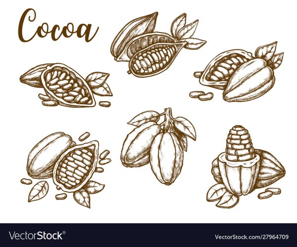 Какао скетч