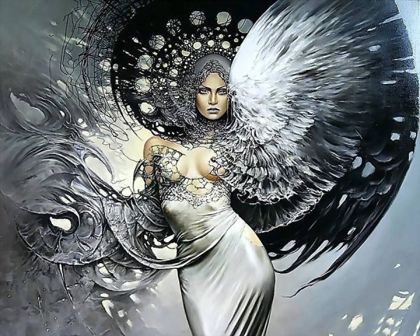 Карол бак (Karol bak) картины