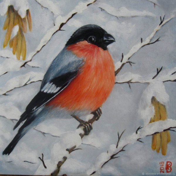 Художница Наталья Григорьева Снегири