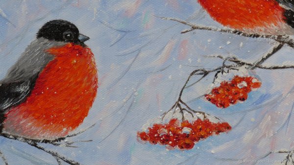 Снегирь на еловой ветке