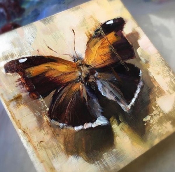 Линдси Кустуш картины бабочки