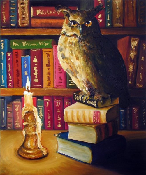 Сова в библиотеке