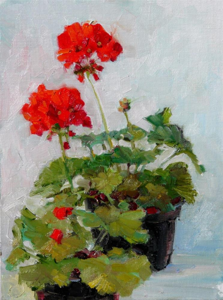 Герань Советская