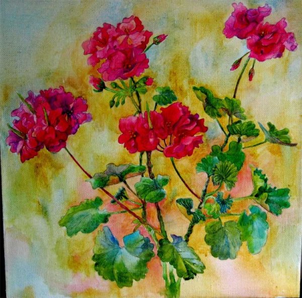 Юзис акварель пеларгония