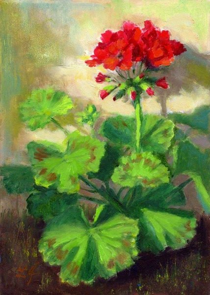 Linda Jacobus - "белая герань"