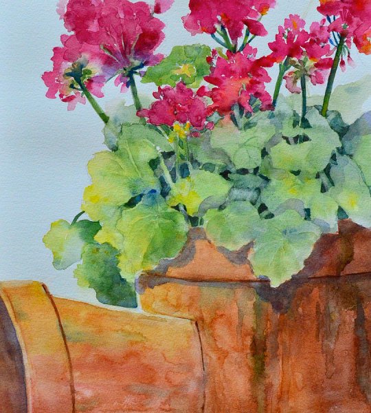 Моне герань