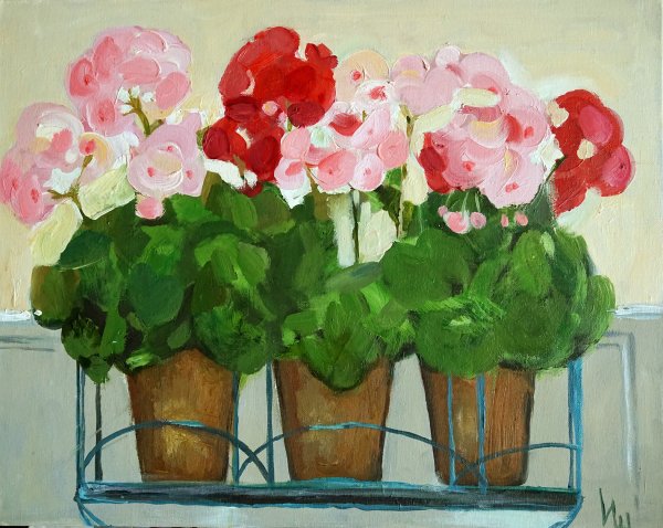 Матисс горшок герани