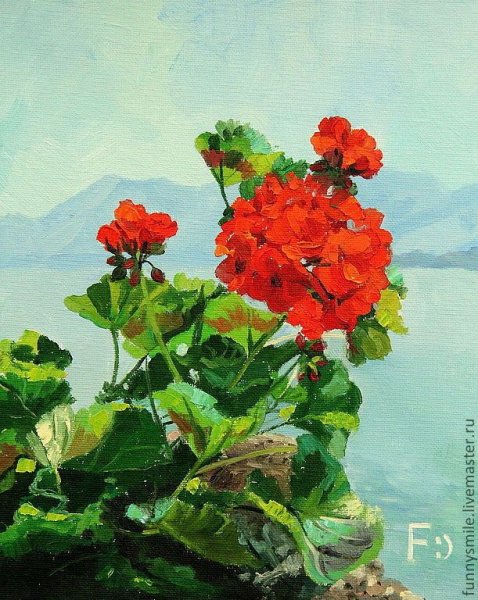 Пеларгонии в живописи