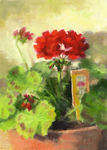 Герань акварелью