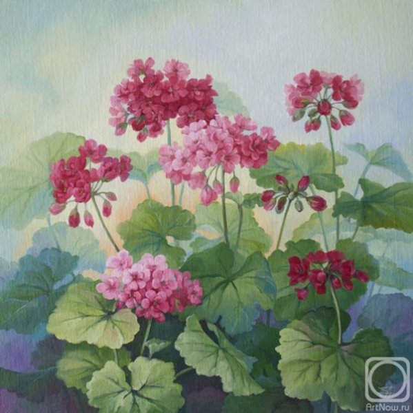 Моне герань