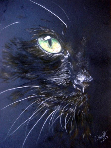 Paul Knight художник