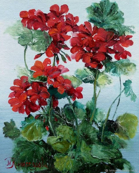 Джеральд Купер герань