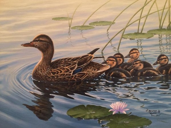 Мир птиц. Художник Abraham Hunter.