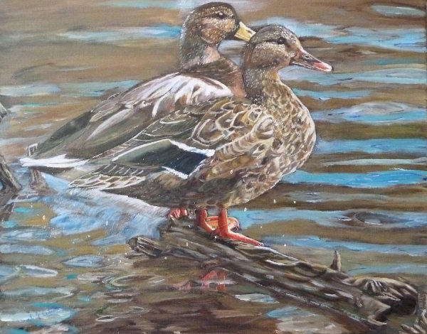 Утки в живописи