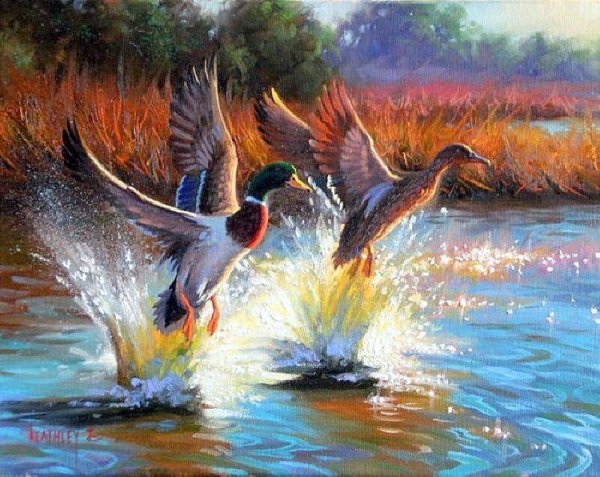 Утиная охота картины художников