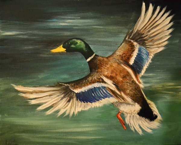Картины маслом Дикие утки,