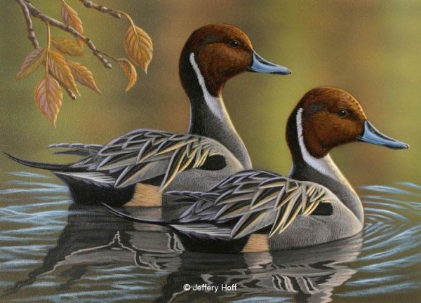 Дикие утки на линогравюре