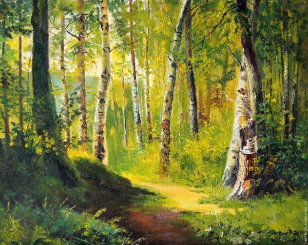 Владимир Деревенчук Березовая роща
