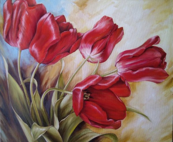 Тюльпаны Лукас Айгнер