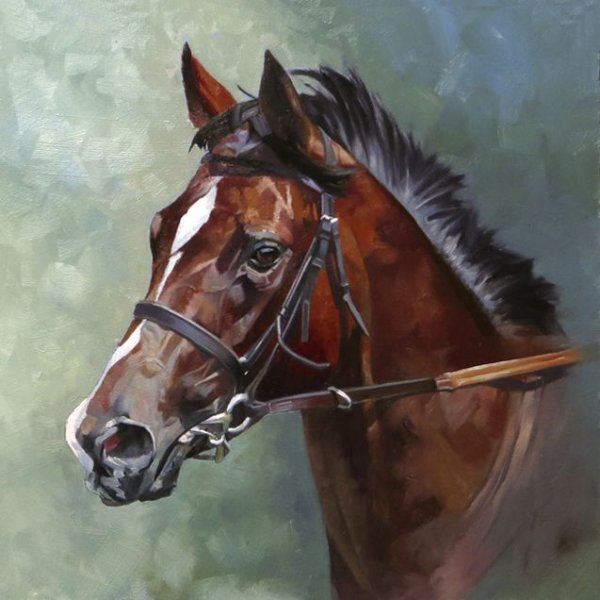 Голова лошади живопись