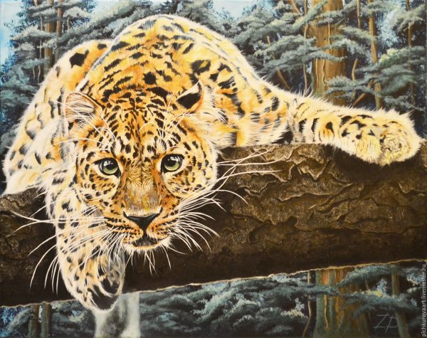 Ватагин леопард