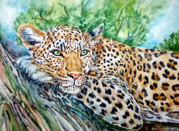 Леопард маслом