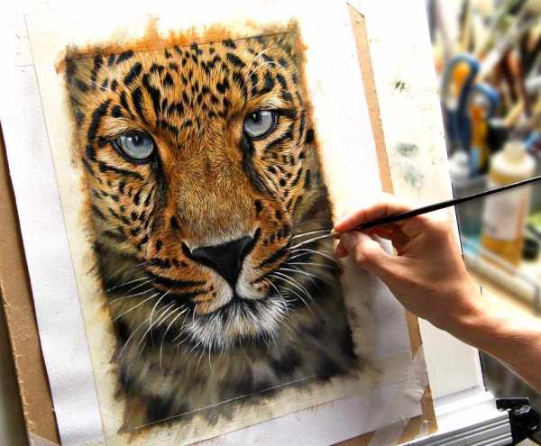 Леопард маслом на холсте