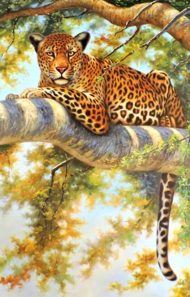 Леопард Автор: Бруно Августо Жавино