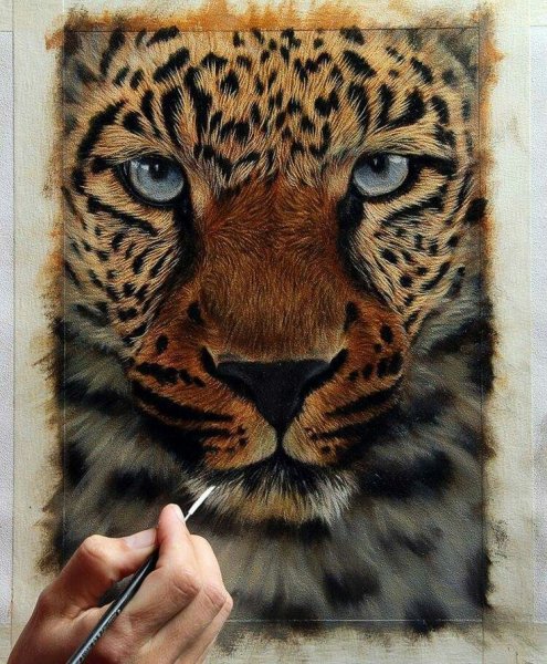 Леопард акрилом