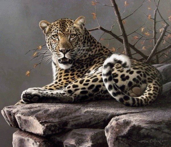 Леопард живопись маслом