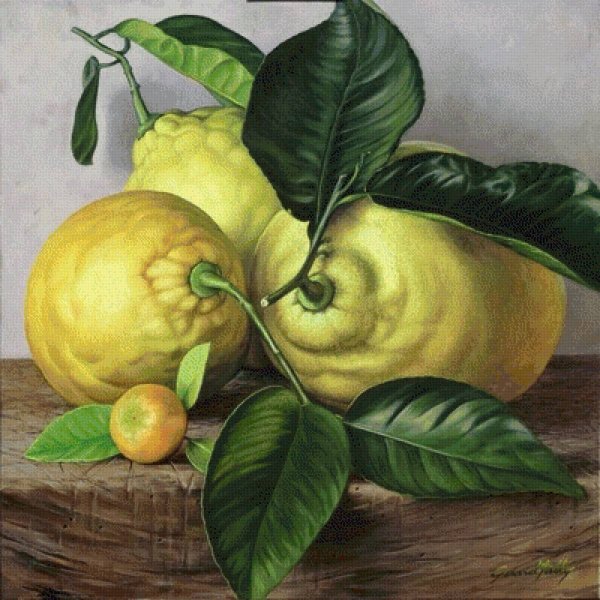 Лимон акварелью