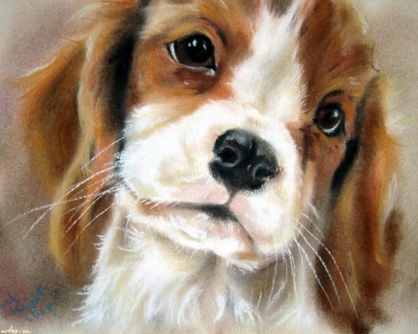 Живопись животные